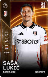 Saša Lukić - limited