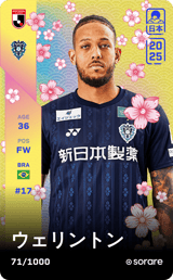 Wellington - limited