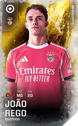 João Rêgo - limited