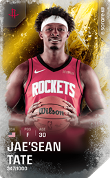 Jae'Sean Tate - limited