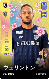 Wellington - limited