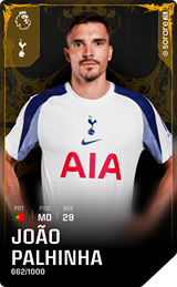 João Palhinha - limited