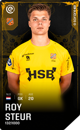Roy Steur - limited