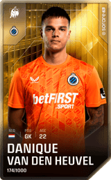 Danique van den Heuvel - limited