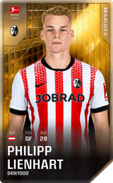 Philipp Lienhart - limited