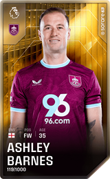 Ashley Barnes - limited