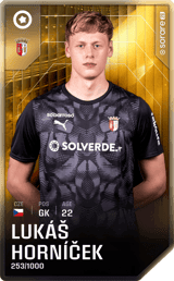 Lukáš Horníček card