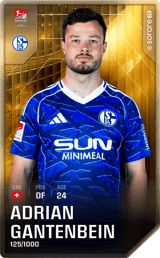 Adrian Gantenbein - limited