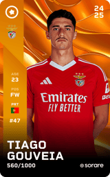 Tiago Gouveia - limited