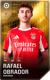 Rafael Obrador - limited