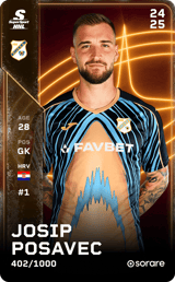 Josip Posavec - limited
