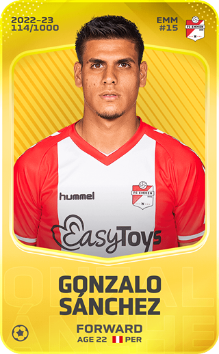 Gonzalo Sánchez - limited