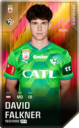 David Falkner - limited