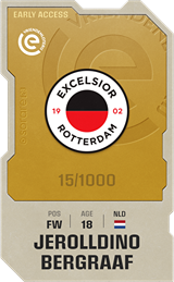 Jerolldino Bergraaf - limited