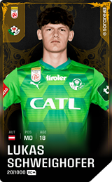 Lukas Schweighofer - limited