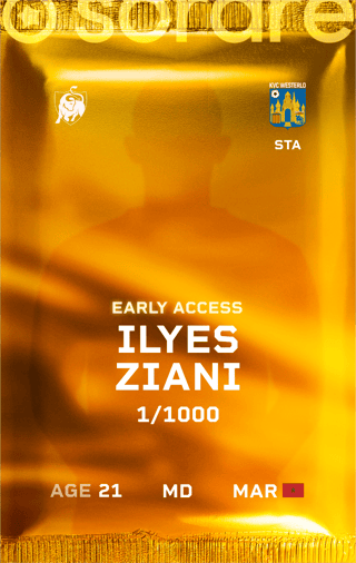 Ilyes Ziani