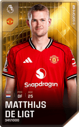 Matthijs de Ligt - limited