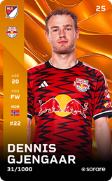 Dennis Gjengaar - limited