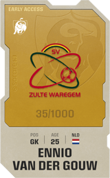 Ennio van der Gouw - limited
