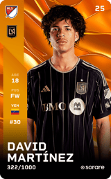 David Martínez - limited