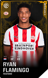 Ryan Flamingo - limited