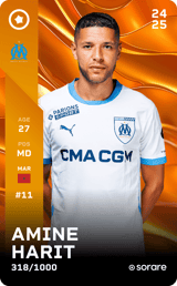 Amine Harit - limited