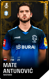 Mate Antunović - limited