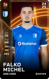 Falko Michel - limited