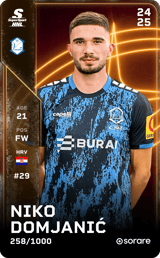 Niko Domjanić - limited