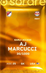 Anthony Marcucci Jr.  - limited