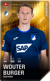 Wouter Burger - limited