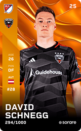 David Schnegg - limited