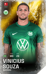 Vinicius Souza - limited