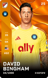 David Bingham - limited