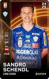 Sandro Schendl - limited