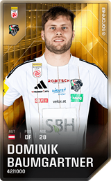 Dominik Baumgartner - limited