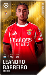 Leandro Barreiro - limited