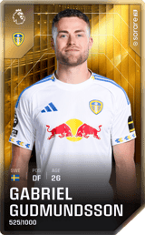 Gabriel Gudmundsson - limited