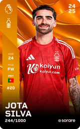 Jota Silva - limited