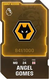 Angel Gomes - limited