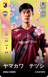 Tetsushi Yamakawa - limited