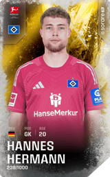 Hannes Hermann - limited