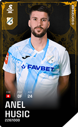 Anel Husic - limited