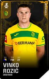 Vinko Rozić - limited