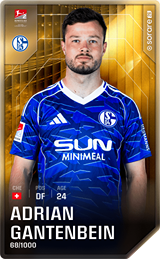 Adrian Gantenbein - limited