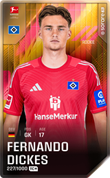 Fernando Dickes - limited