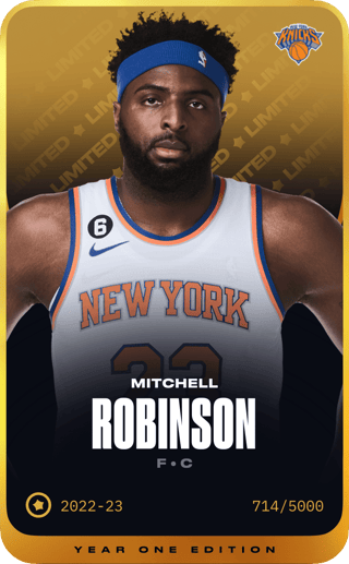 Mitchell Robinson - limited