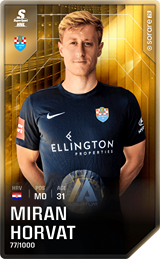 Miran Horvat - limited