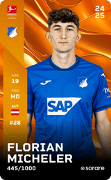 Florian Micheler - limited