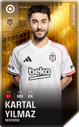 Kartal Yılmaz - limited